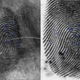 Fingerprints with distinguishing features marked by a forensic analyst.